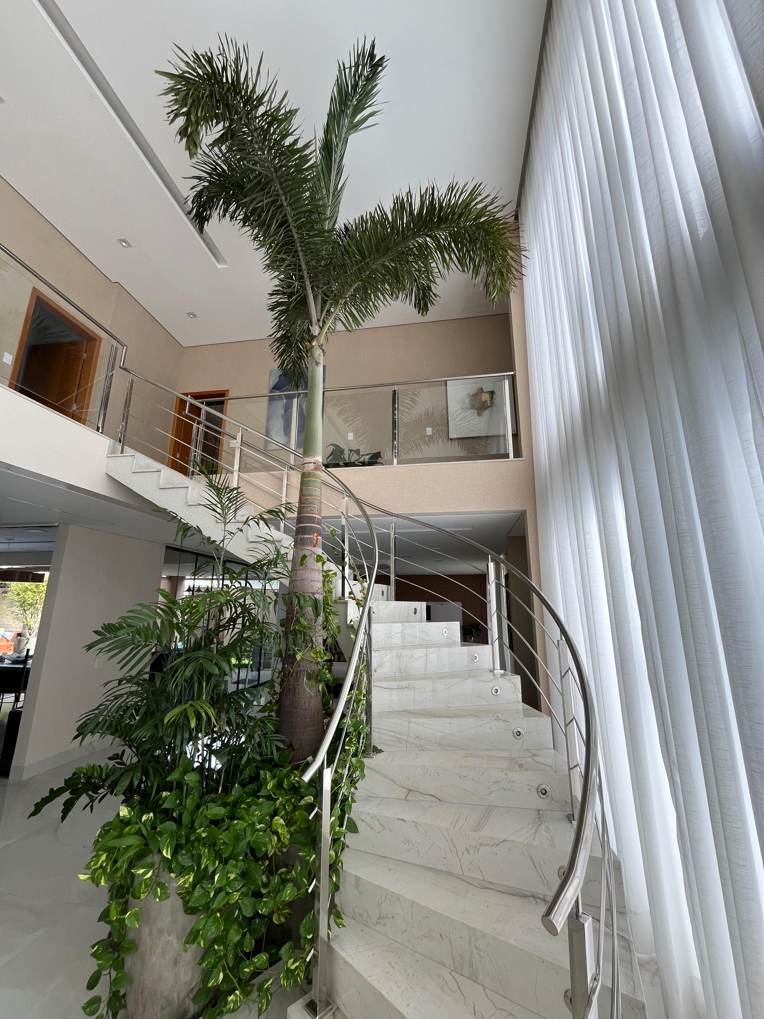 WhatsApp Image 2025-05-26 at 21.01.08.jpeg