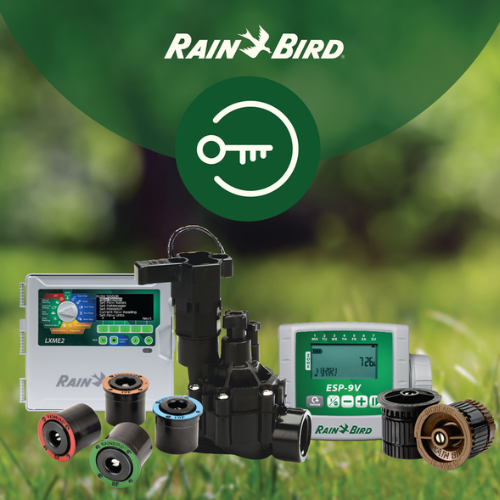 Design sem nome (11).png