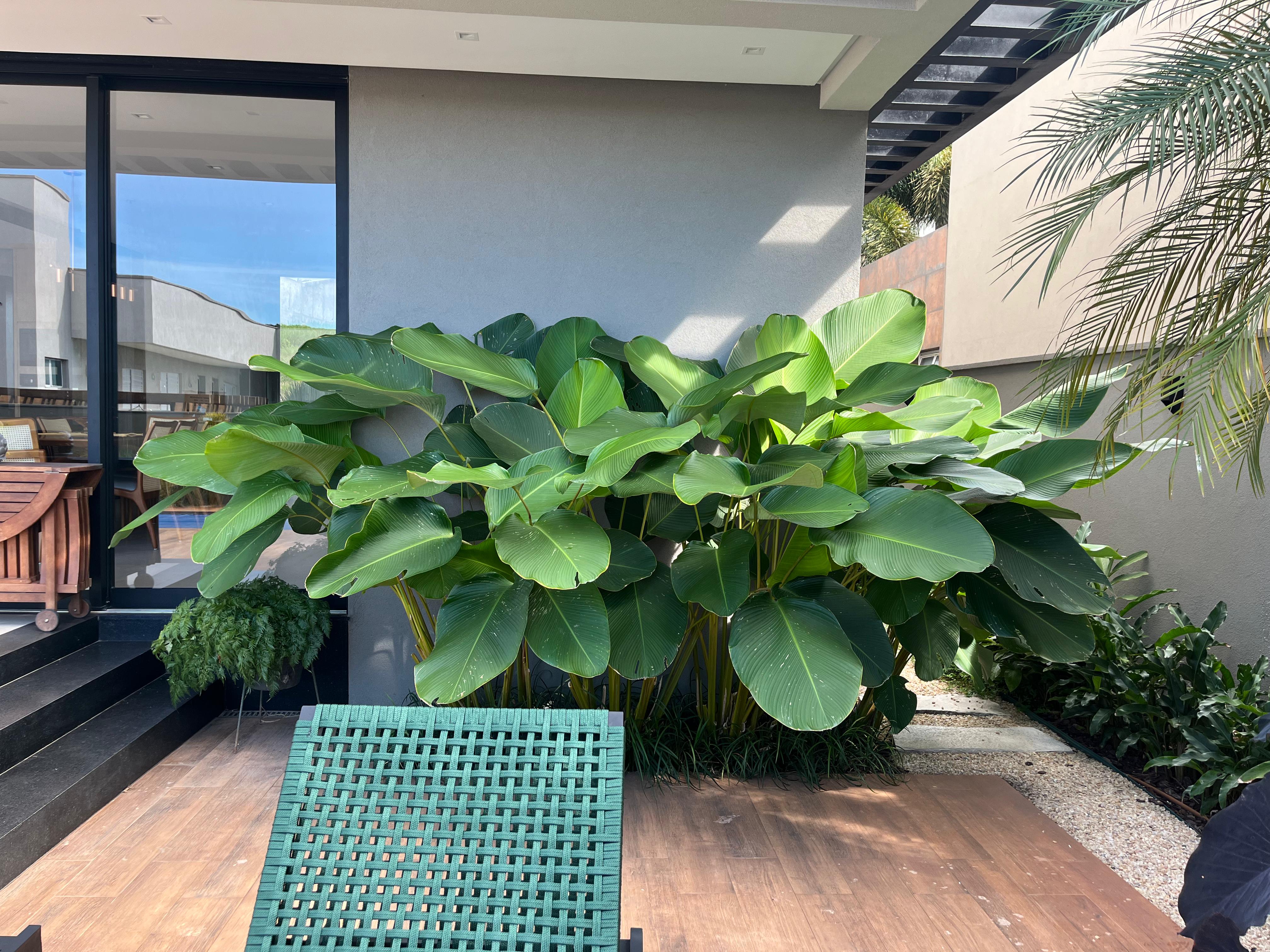 WhatsApp Image 2025-05-26 at 21.01.12.jpeg