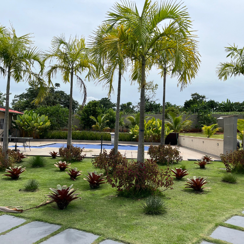 Design sem nome (8).png